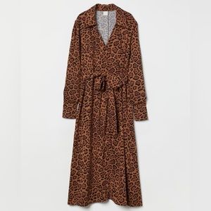 H&M Tie Belt Shirt Dress